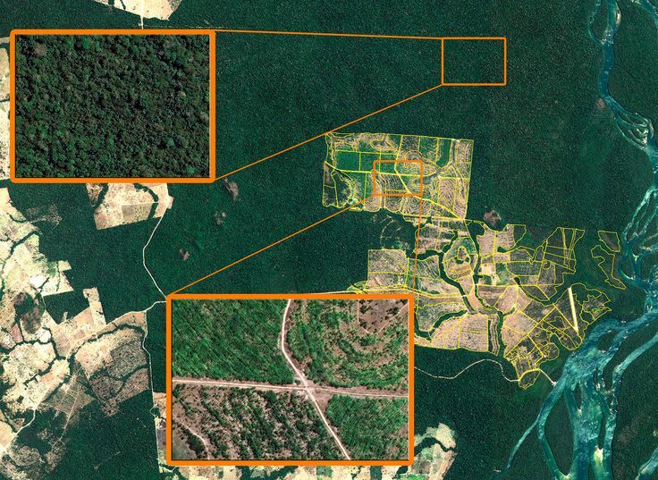 Aerial survey of East African landscape